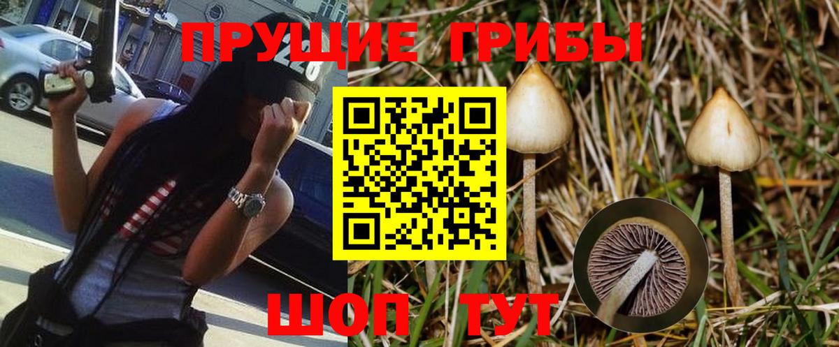 Псилоцибиновые грибы мухоморы Менделеевск