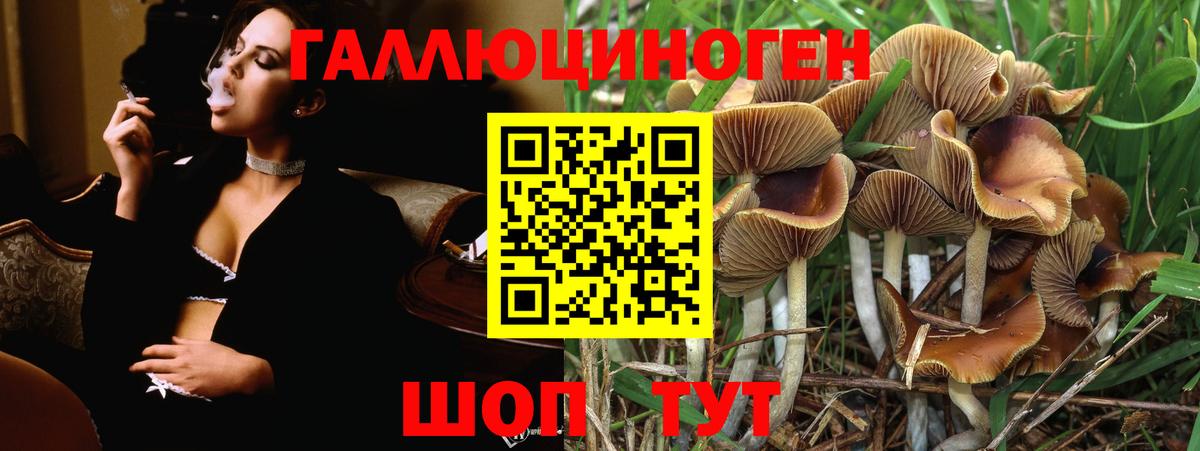 Менделеевск  Галлюциногенные грибы Cubensis  Вход с VPN  Галлюциногенные грибы GOLDEN TEACHER 